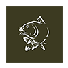 NASH_TV_Carp_Fishing